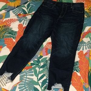 Curvy hi rise cropped jegging